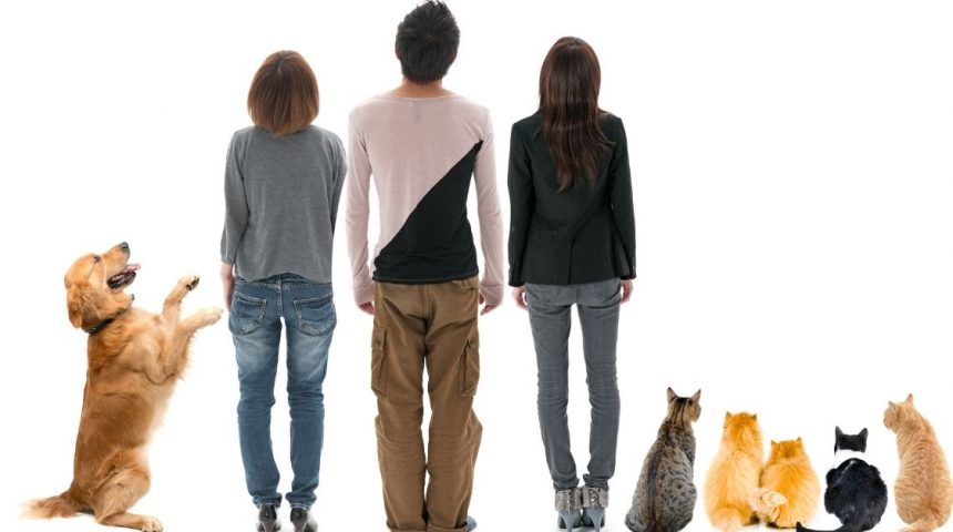animali domestici come scegliere